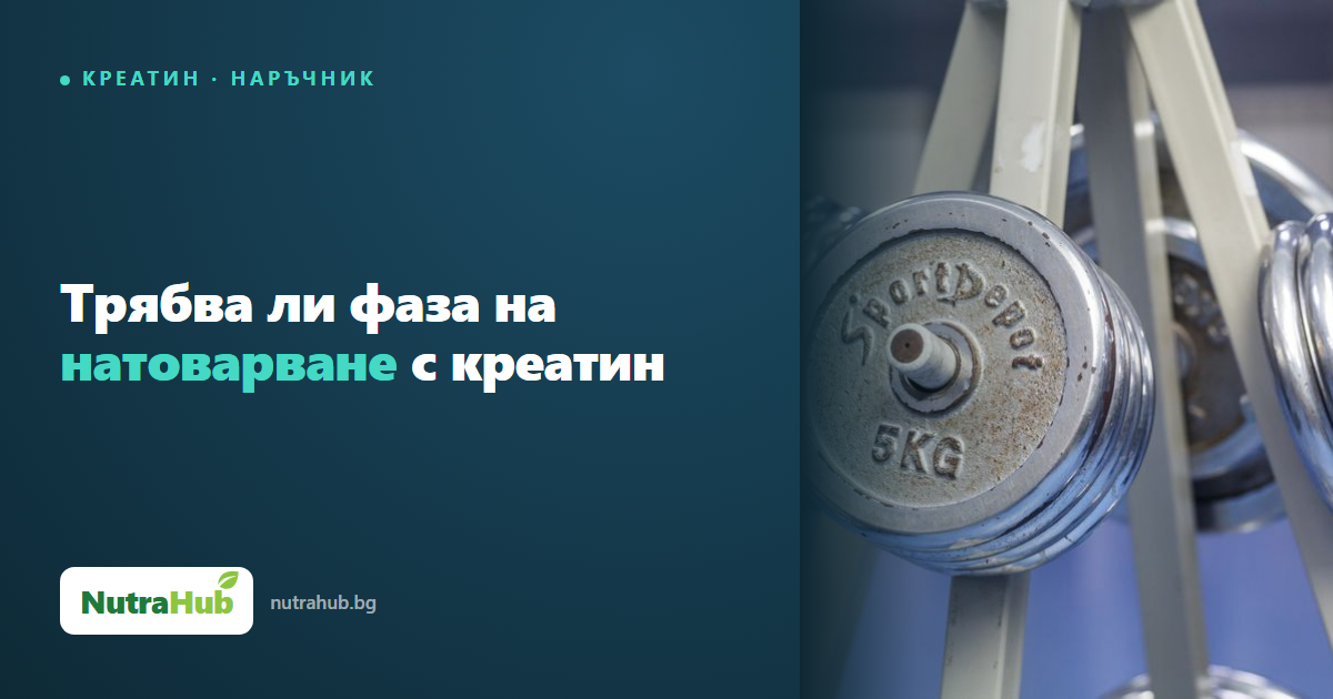 Трябва ли фаза на натоварване с креатин