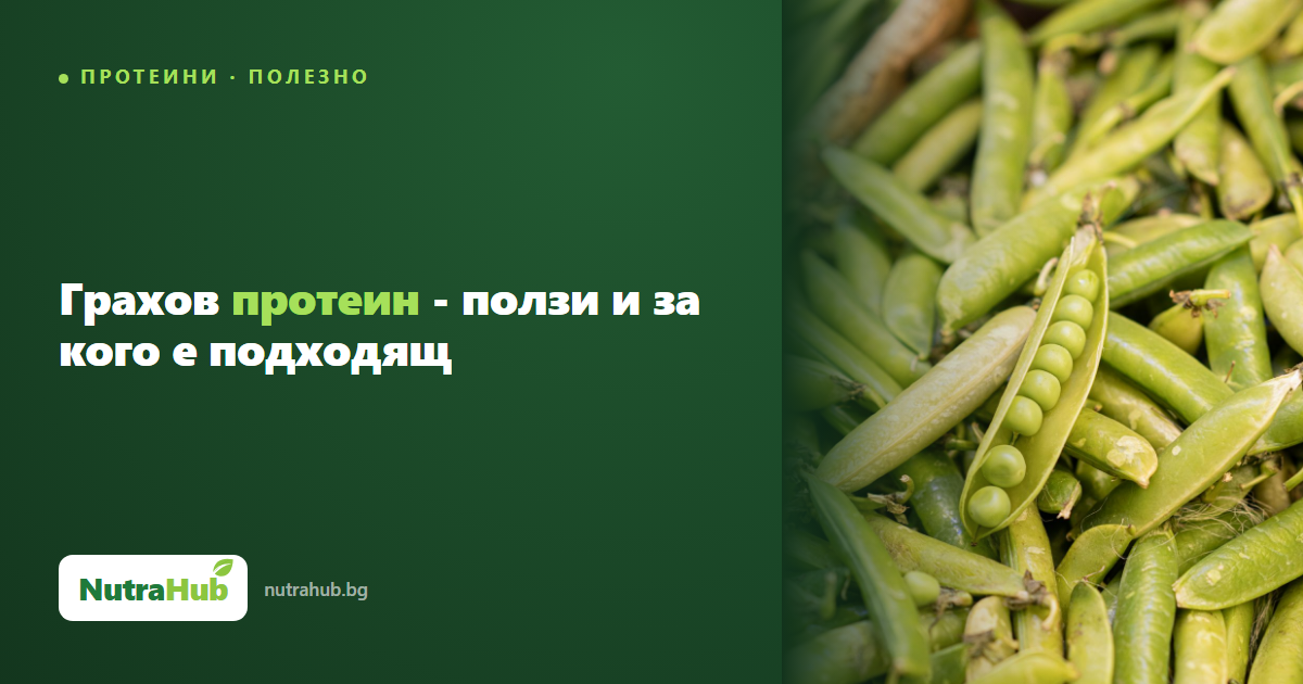 Грахов протеин - ползи и за кого е подходящ