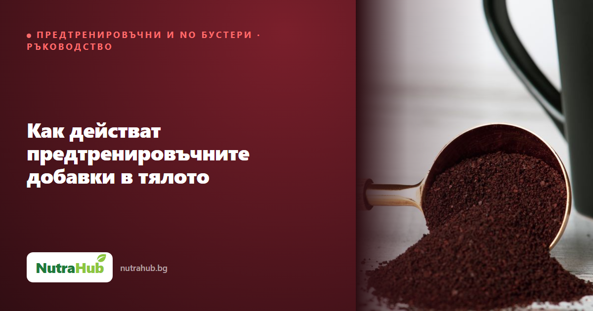 Как действат предтренировъчните добавки в тялото