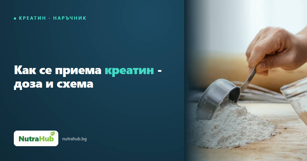 Как се приема креатин - доза и схема