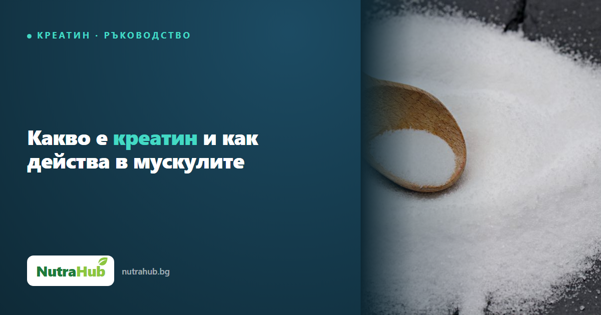 Какво е креатин и как действа в мускулите