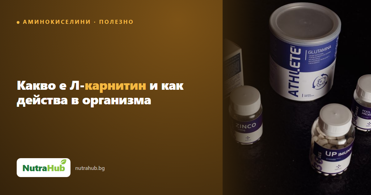 Какво е Л-карнитин и как действа в организма