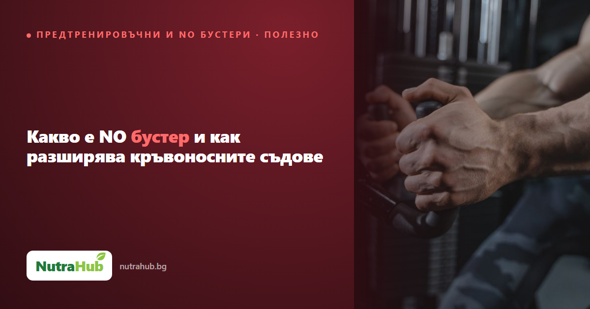 Какво е NO бустер и как разширява кръвоносните съдове