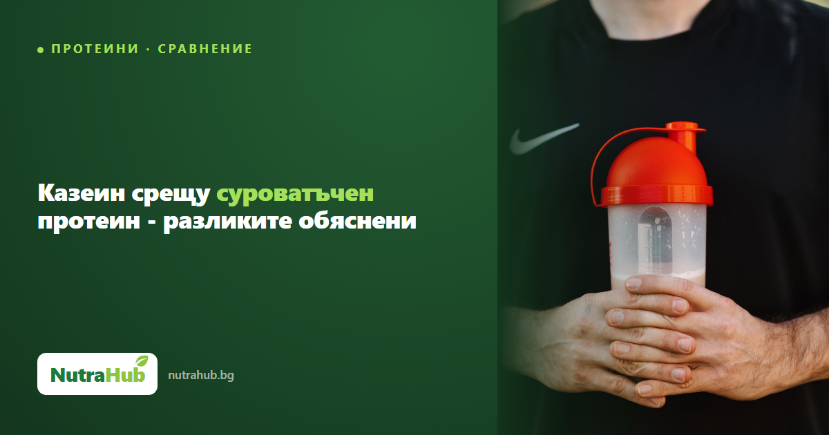 Казеин срещу суроватъчен протеин - разликите обяснени