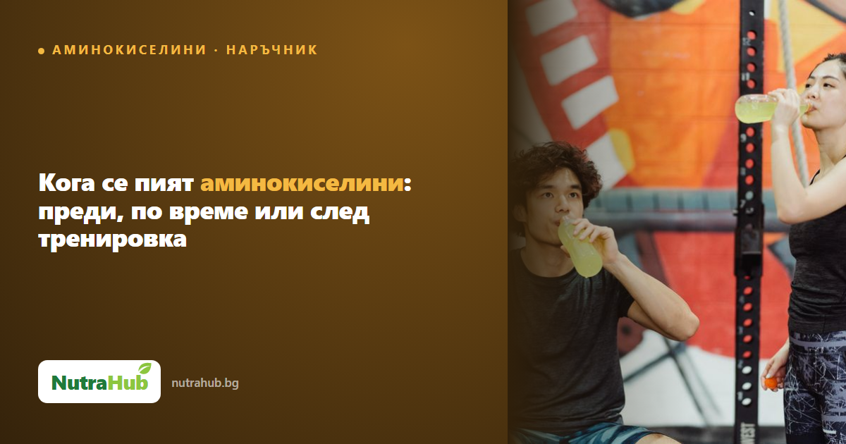 Кога се пият аминокиселини: преди, по време или след тренировка