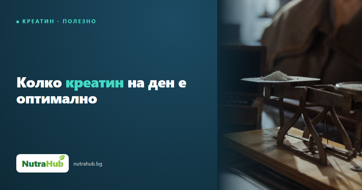 Колко креатин на ден е оптимално