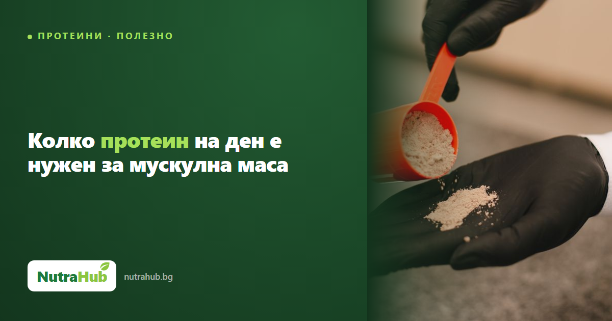 Колко протеин на ден е нужен за мускулна маса
