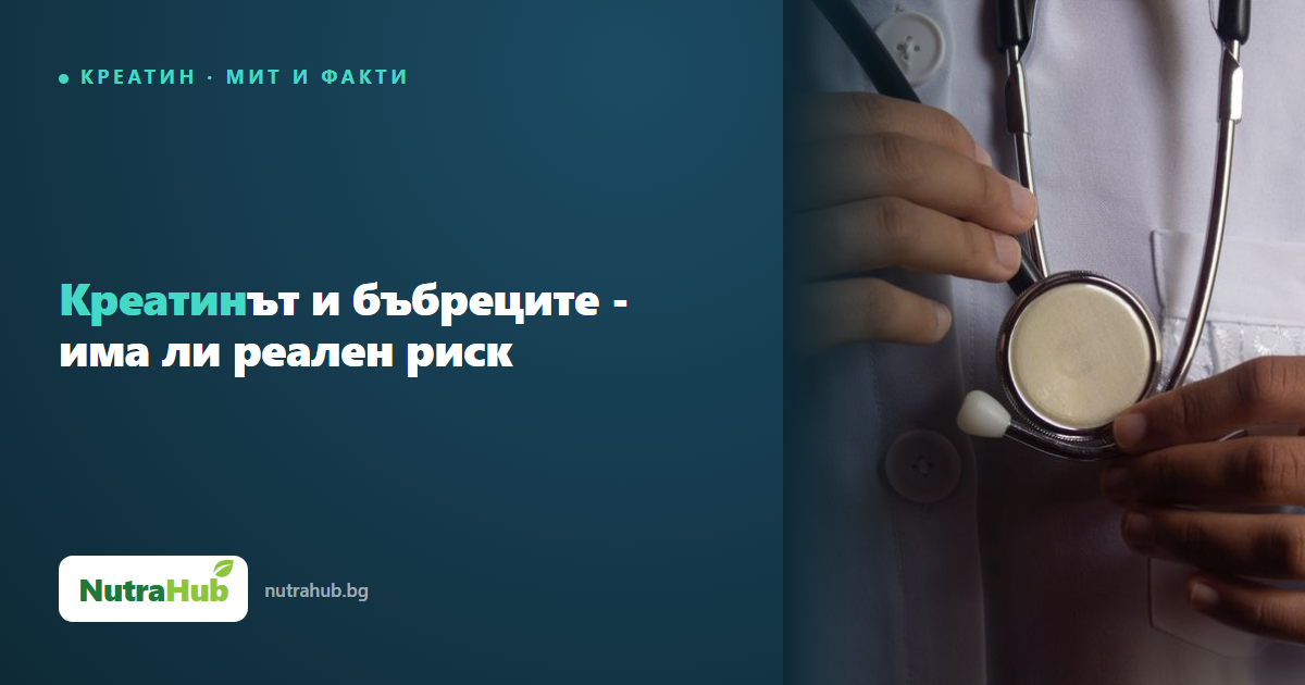 Креатинът и бъбреците - има ли реален риск