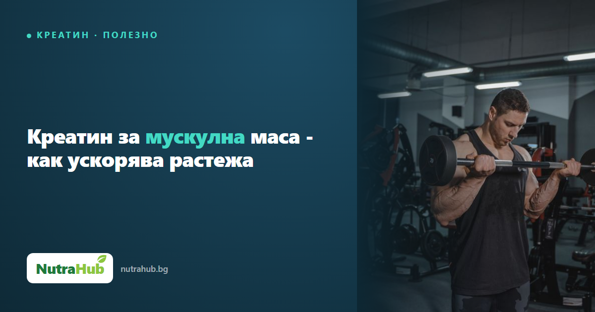 Креатин за мускулна маса - как ускорява растежа