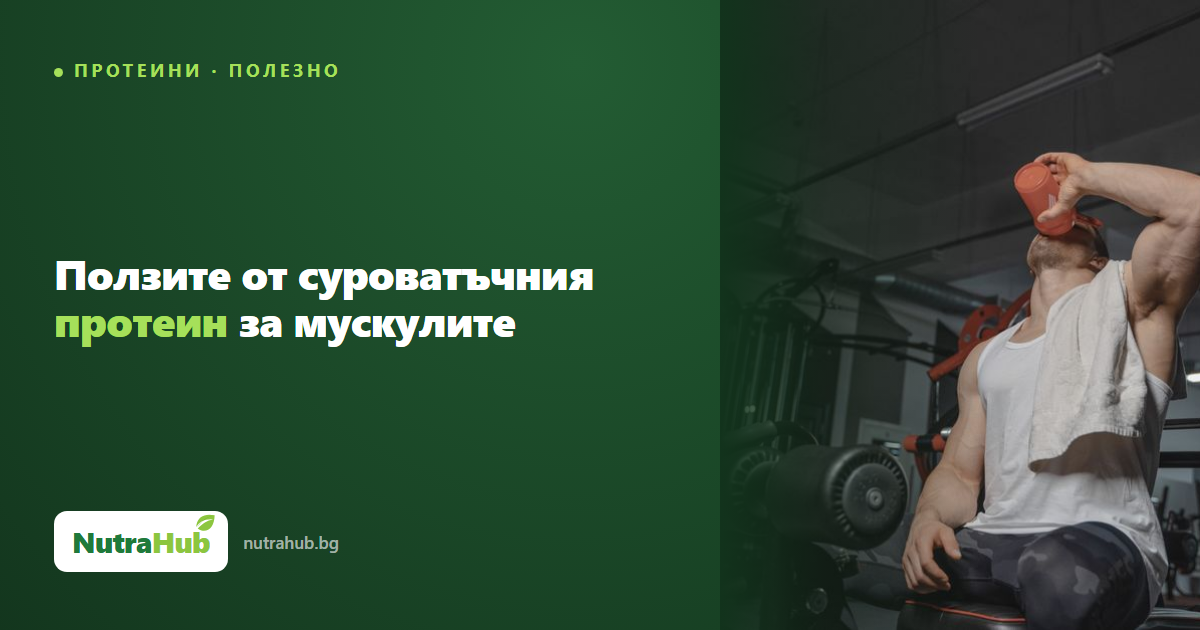 Ползите от суроватъчния протеин за мускулите