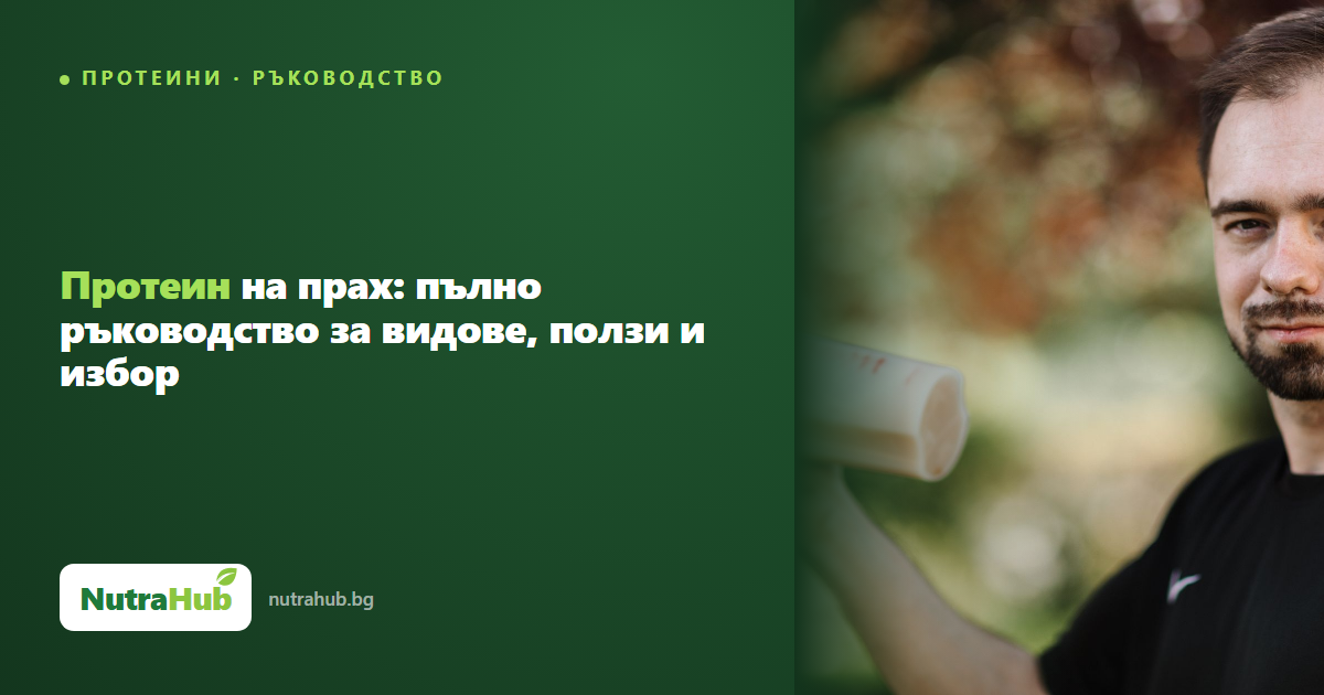 Протеин на прах: пълно ръководство за видове, ползи и избор