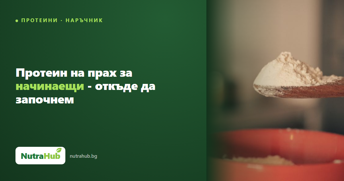 Протеин на прах за начинаещи - откъде да започнем