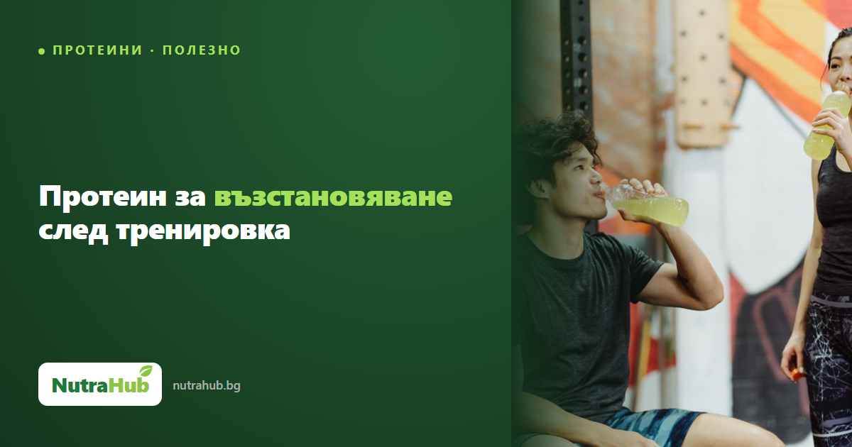 Протеин за възстановяване след тренировка