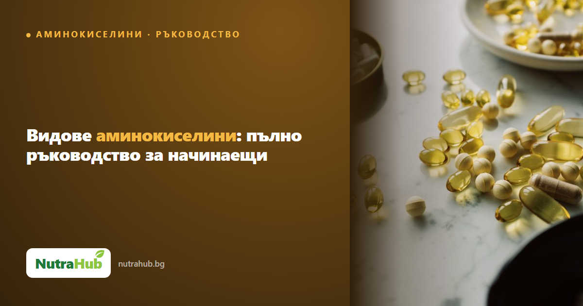 Видове аминокиселини: пълно ръководство за начинаещи