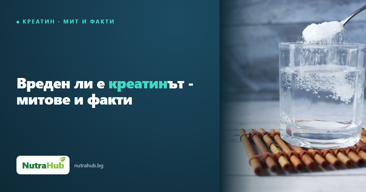 Вреден ли е креатинът - митове и факти