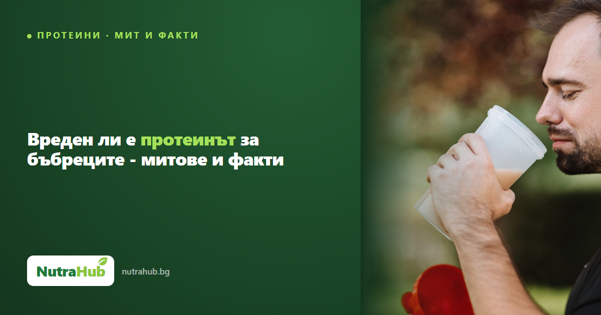 Вреден ли е протеинът за бъбреците - митове и факти