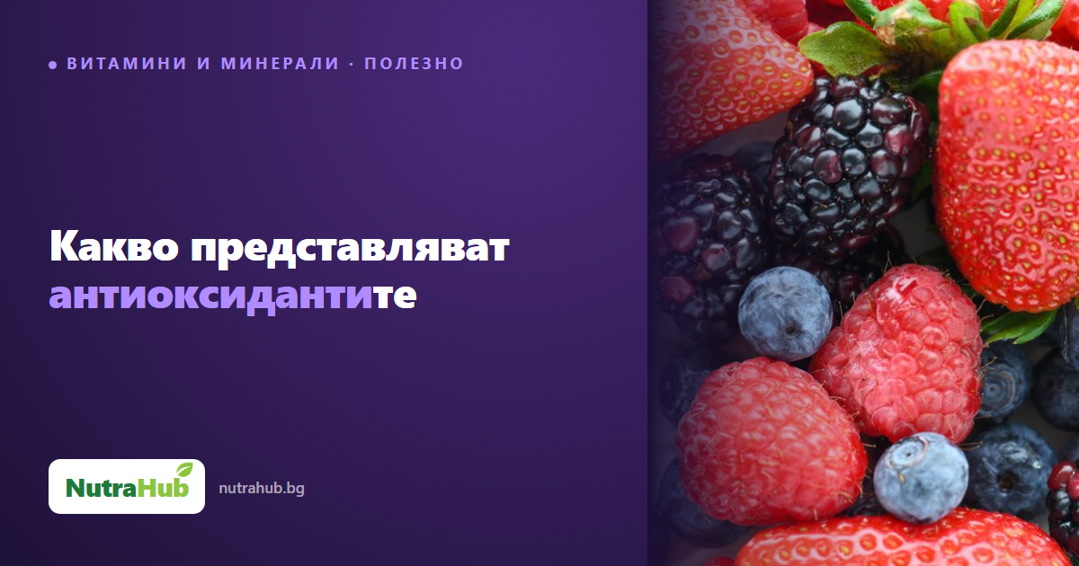Какво представляват антиоксидантите