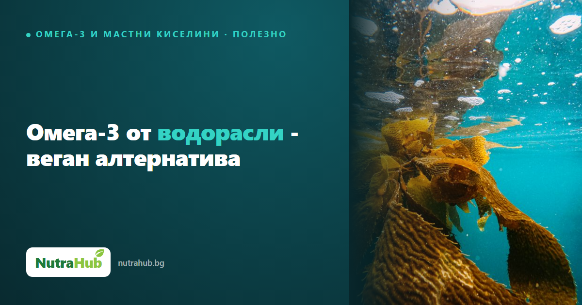 Омега-3 от водорасли - веган алтернатива