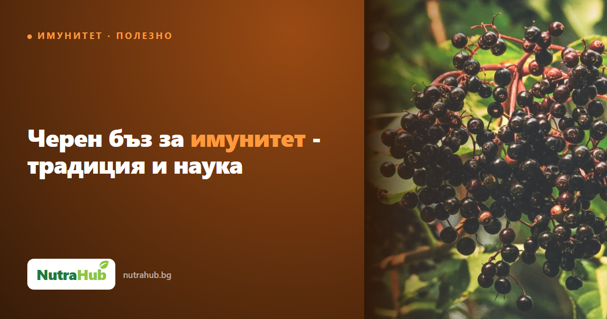 Черен бъз за имунитет - традиция и наука