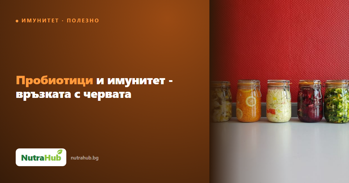 Пробиотици и имунитет - връзката с червата
