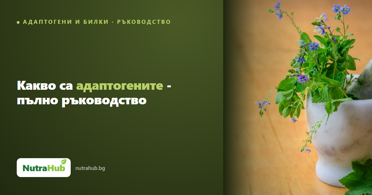 Какво са адаптогените - пълно ръководство
