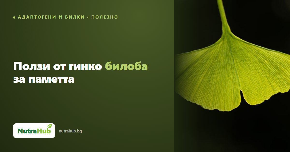Ползи от гинко билоба за паметта