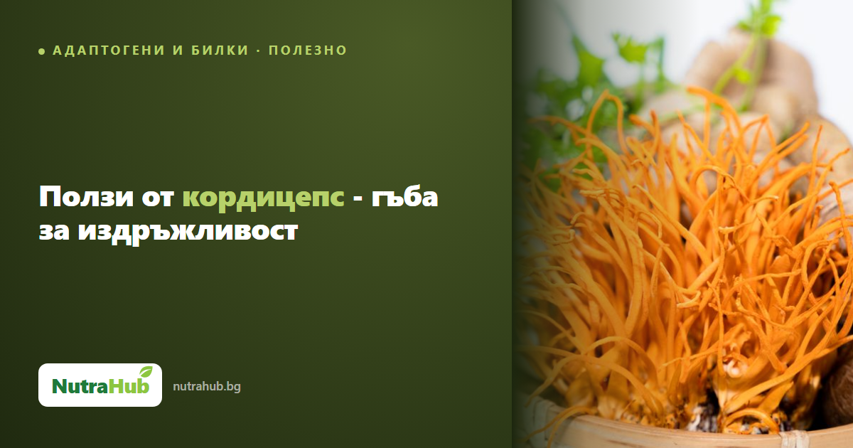 Ползи от кордицепс - гъба за издръжливост