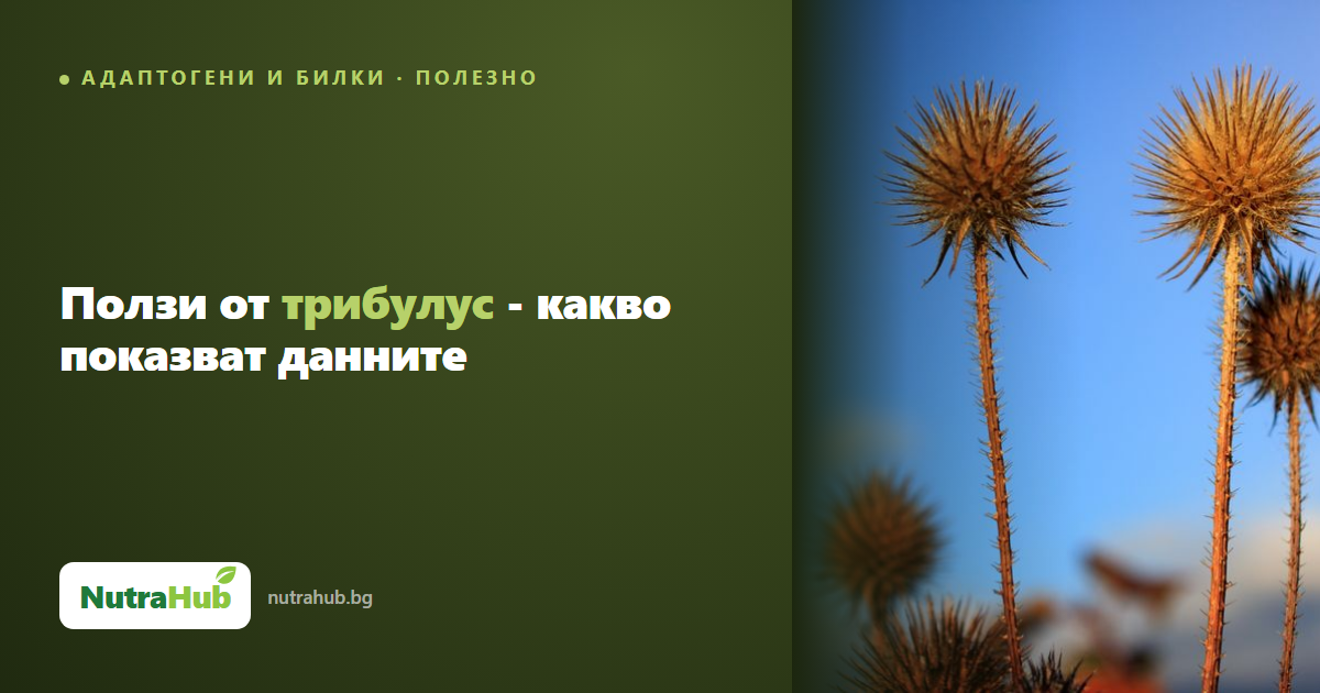 Ползи от трибулус - какво показват данните