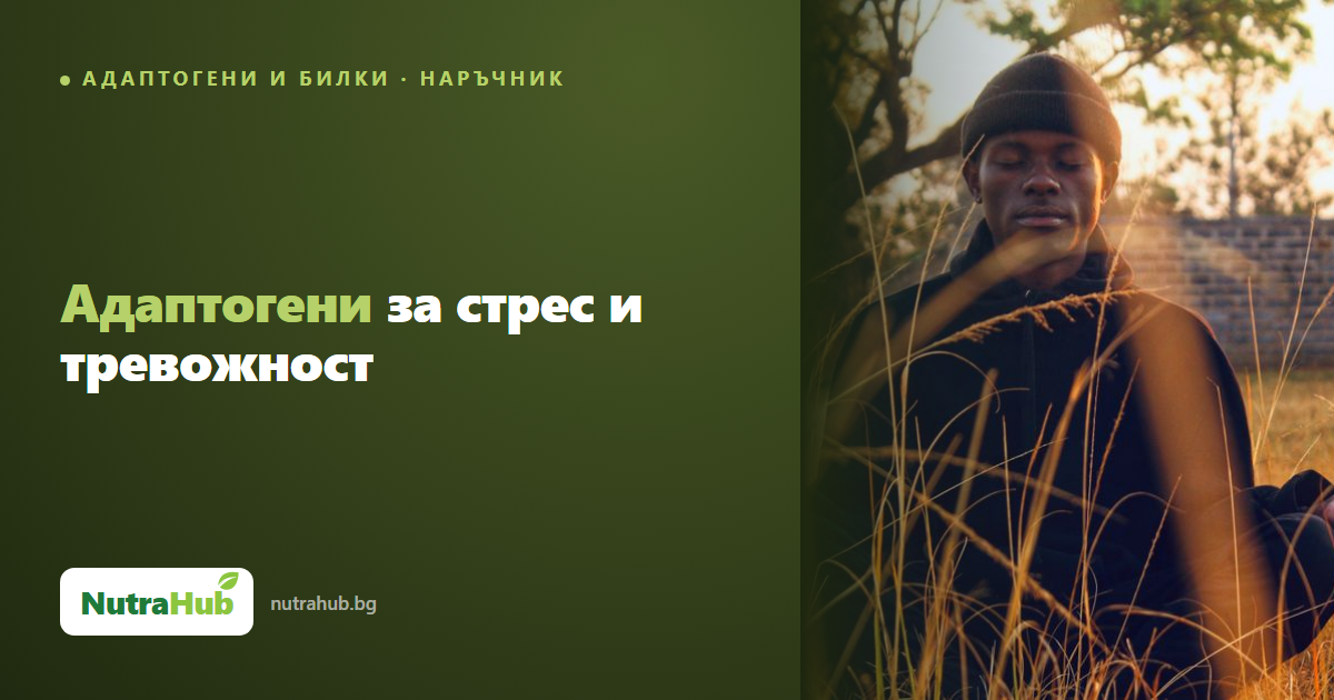 Адаптогени за стрес и тревожност