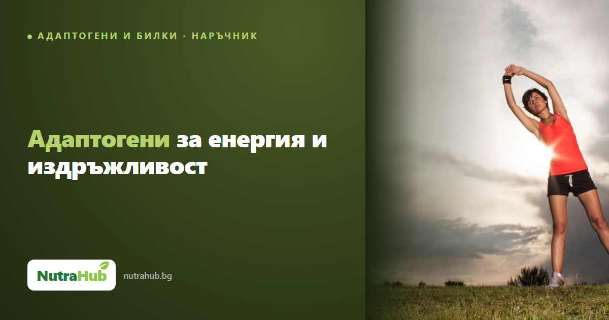 Адаптогени за енергия и издръжливост