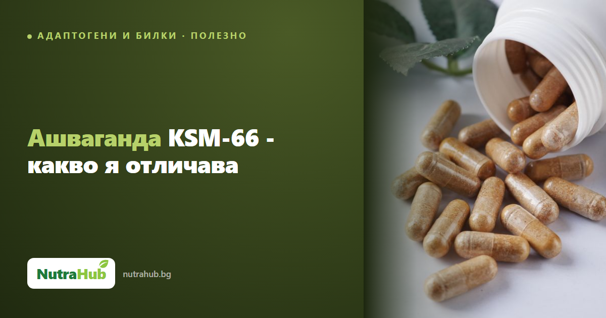 Ашваганда KSM-66 - какво я отличава