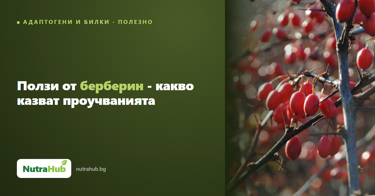 Ползи от берберин - какво казват проучванията
