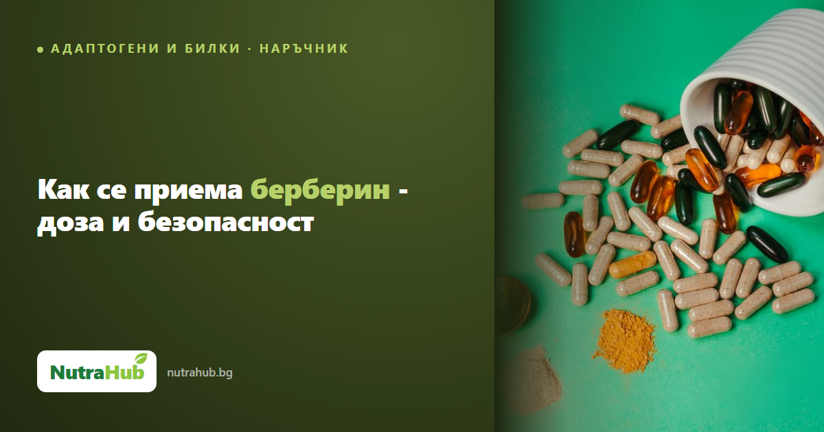 Как се приема берберин - доза и безопасност