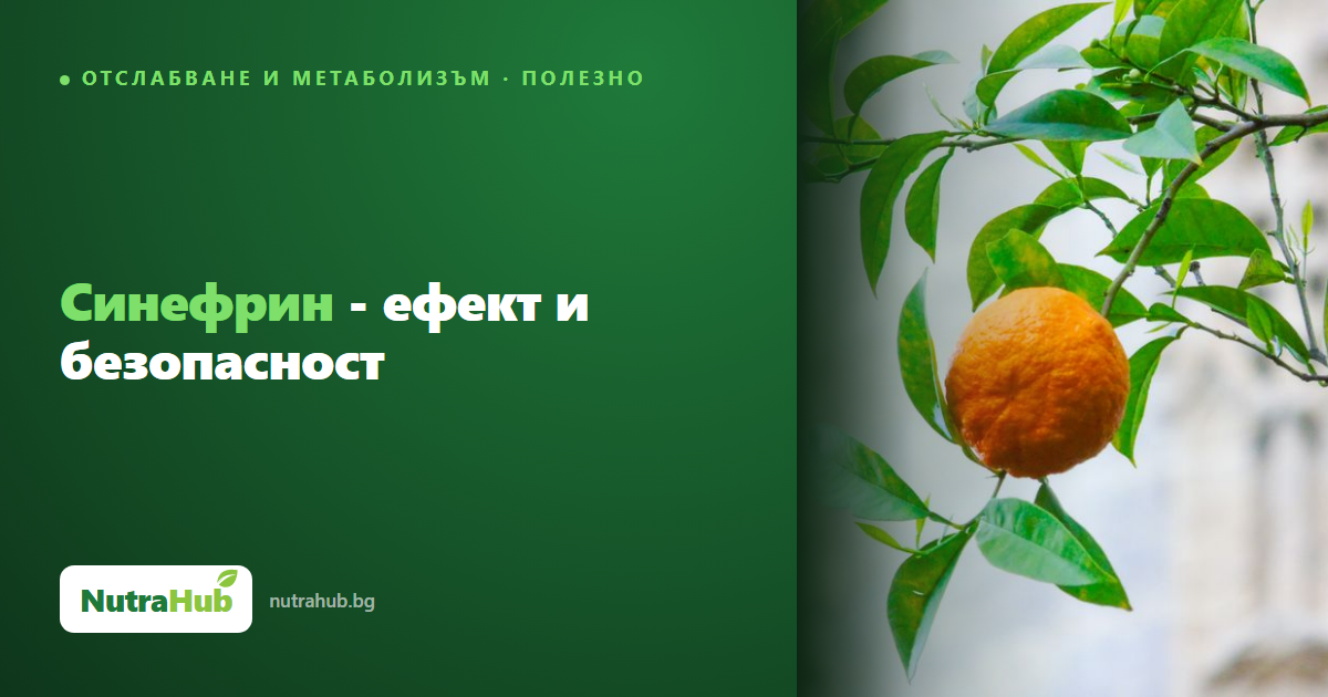 Синефрин - ефект и безопасност
