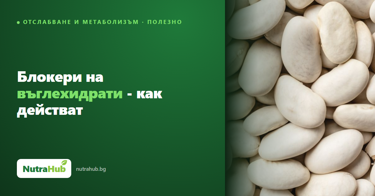 Блокери на въглехидрати - как действат