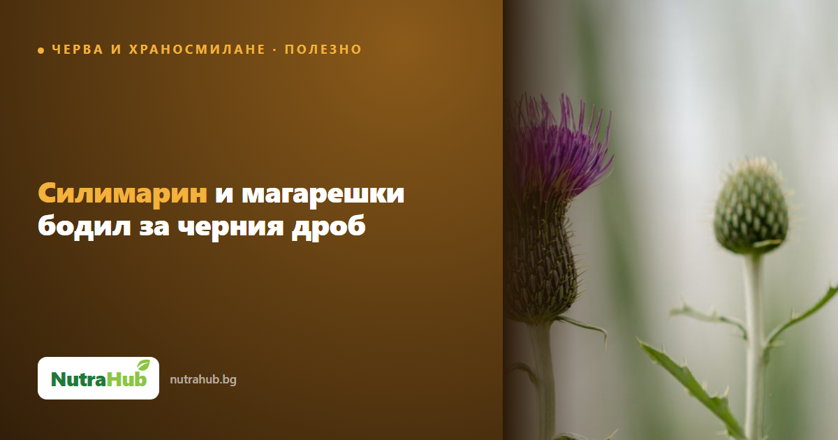 Силимарин и магарешки бодил за черния дроб