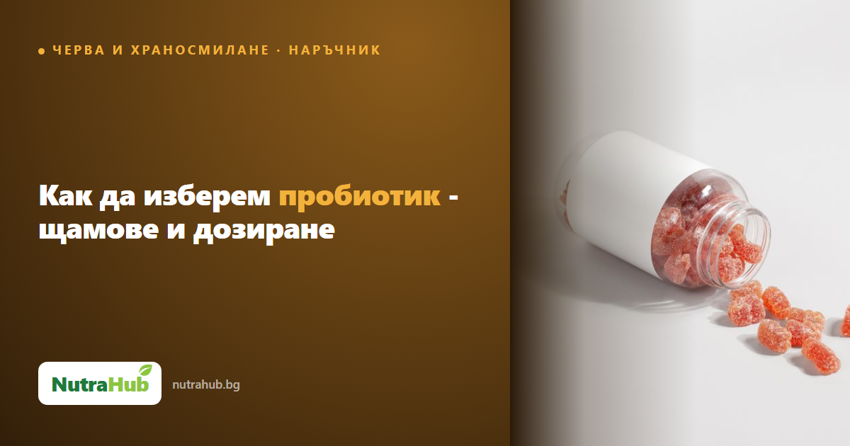 Как да изберем пробиотик - щамове и дозиране