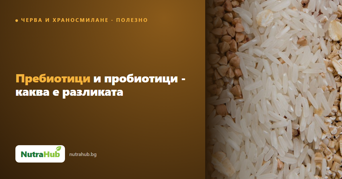 Пребиотици и пробиотици - каква е разликата