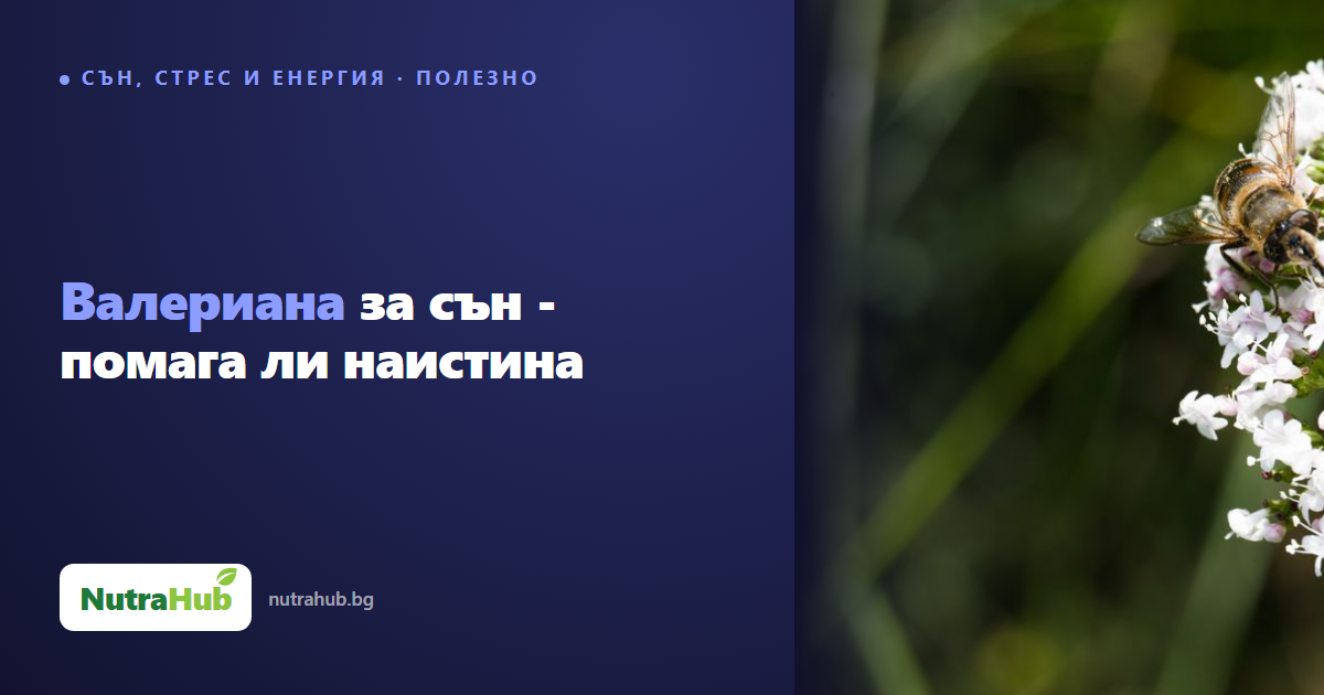 Валериана за сън - помага ли наистина