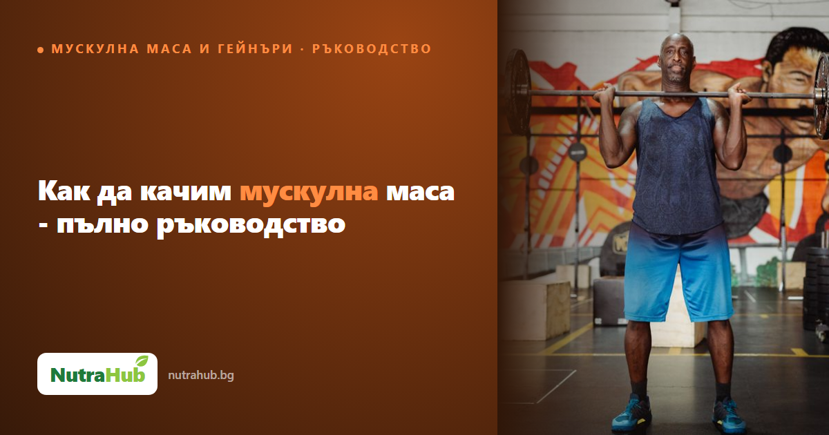 Как да качим мускулна маса - пълно ръководство