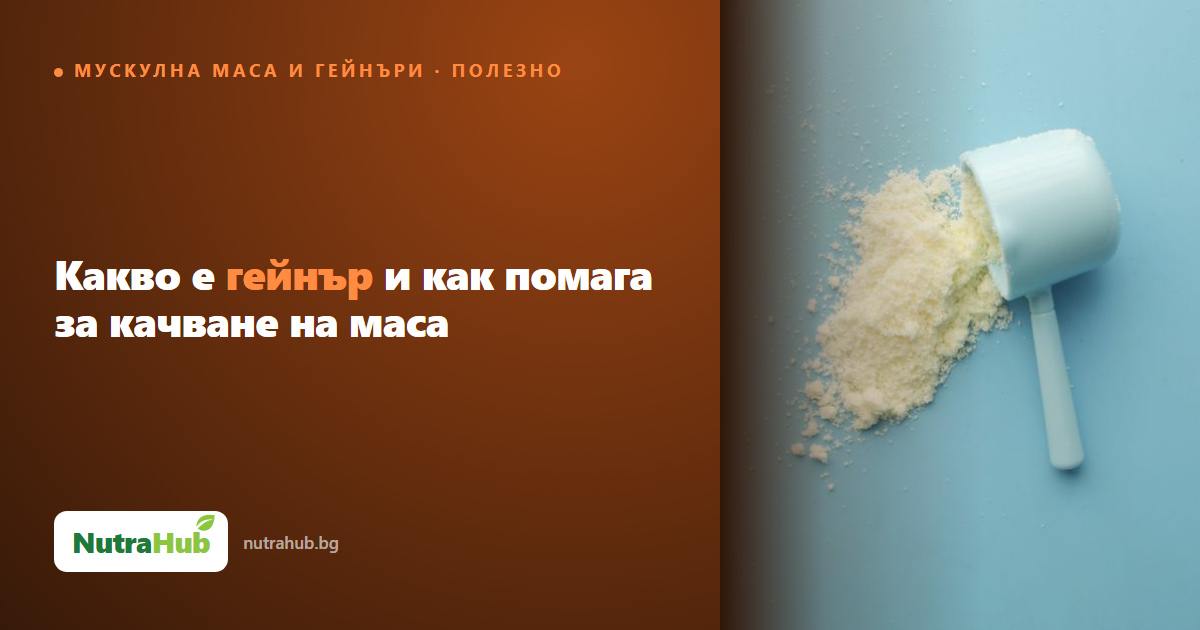 Какво е гейнър и как помага за качване на маса