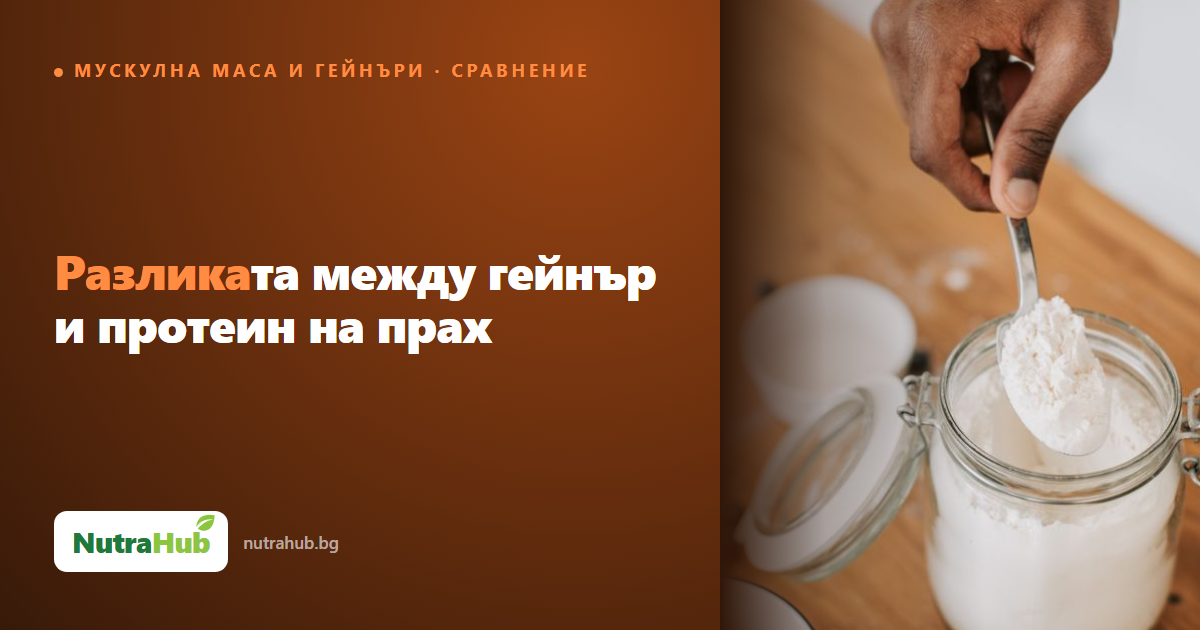 Разликата между гейнър и протеин на прах