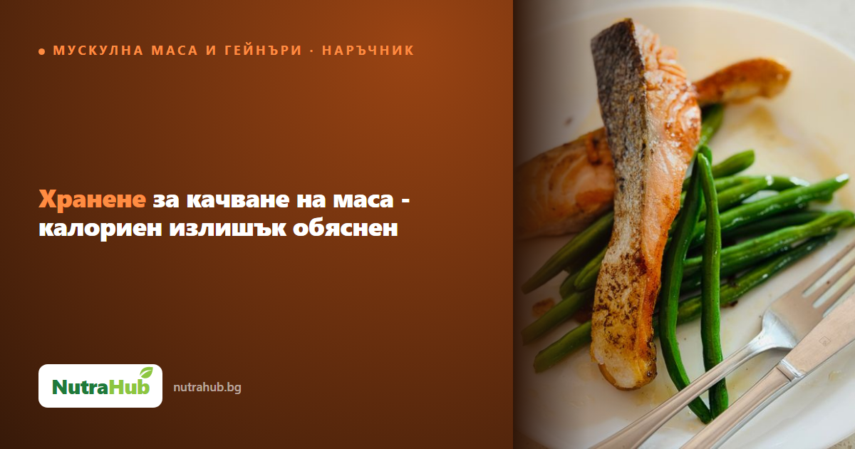 Хранене за качване на маса - калориен излишък обяснен