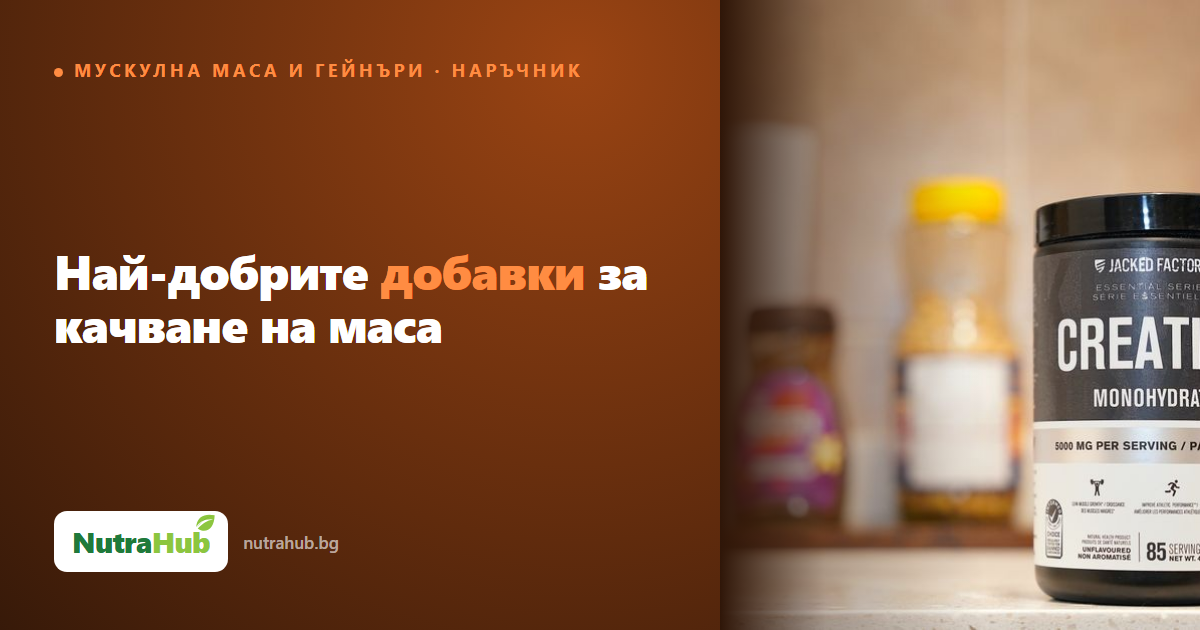 Най-добрите добавки за качване на маса