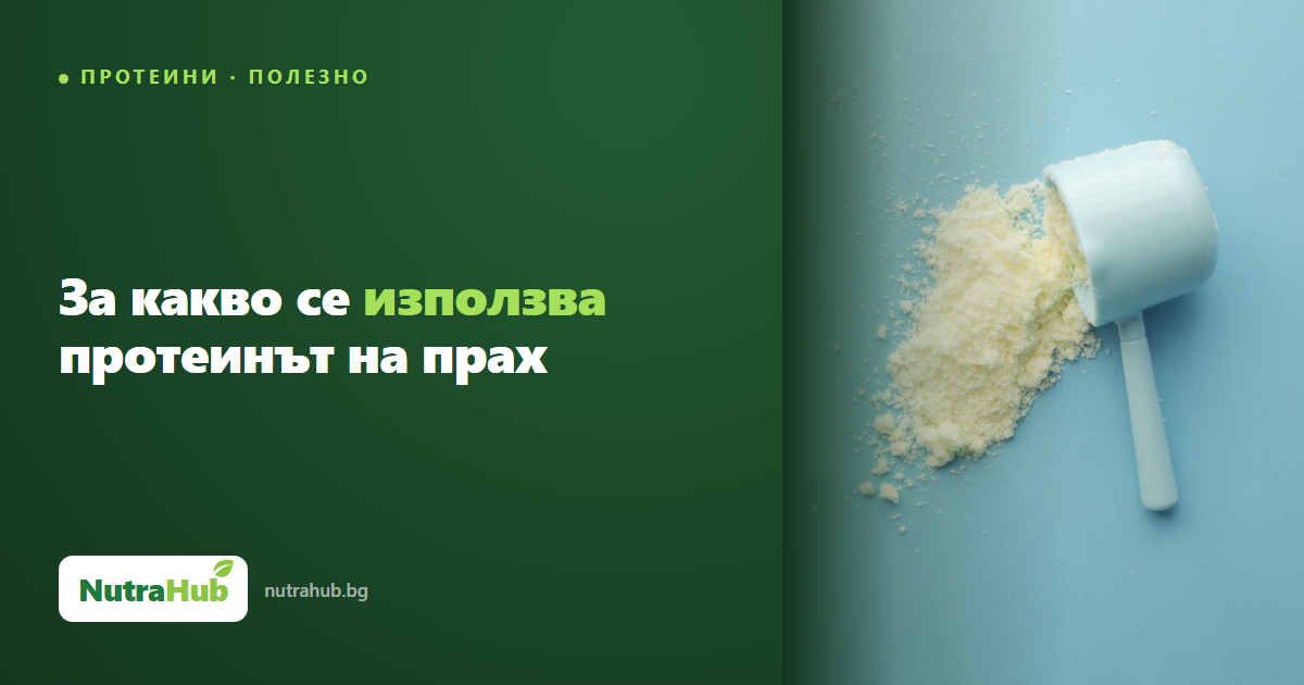 За какво се използва протеинът на прах