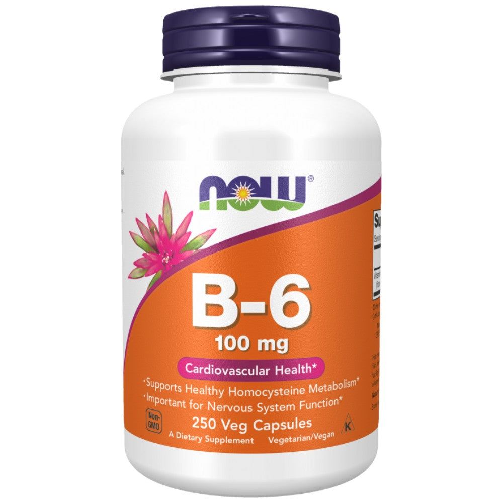 NOW Foods Vitamin B-6 100 mg - Витамин Б6 100 mg