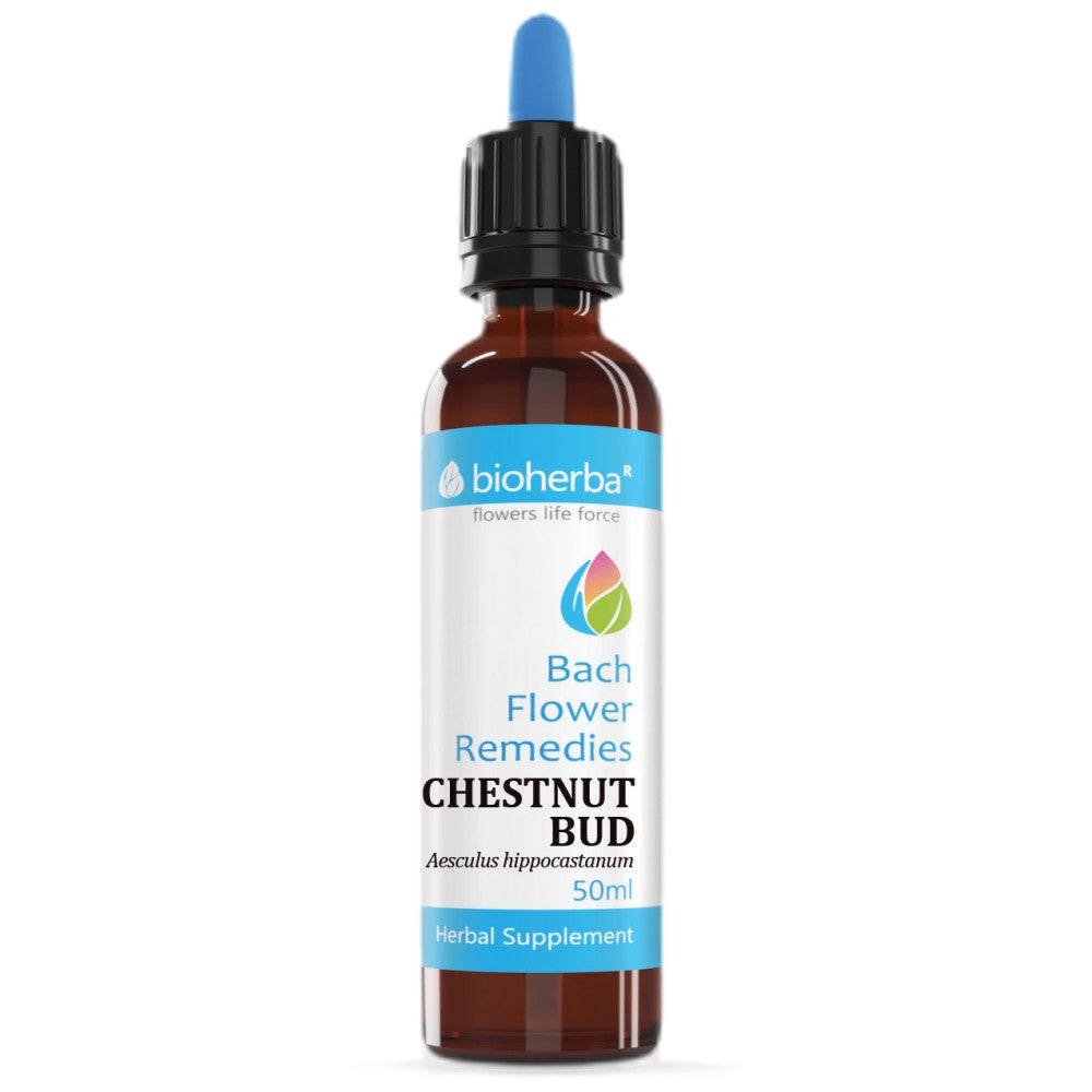 Drops Bach Flower Remedies Chestnut Bud | Aesculus Hippocastanum