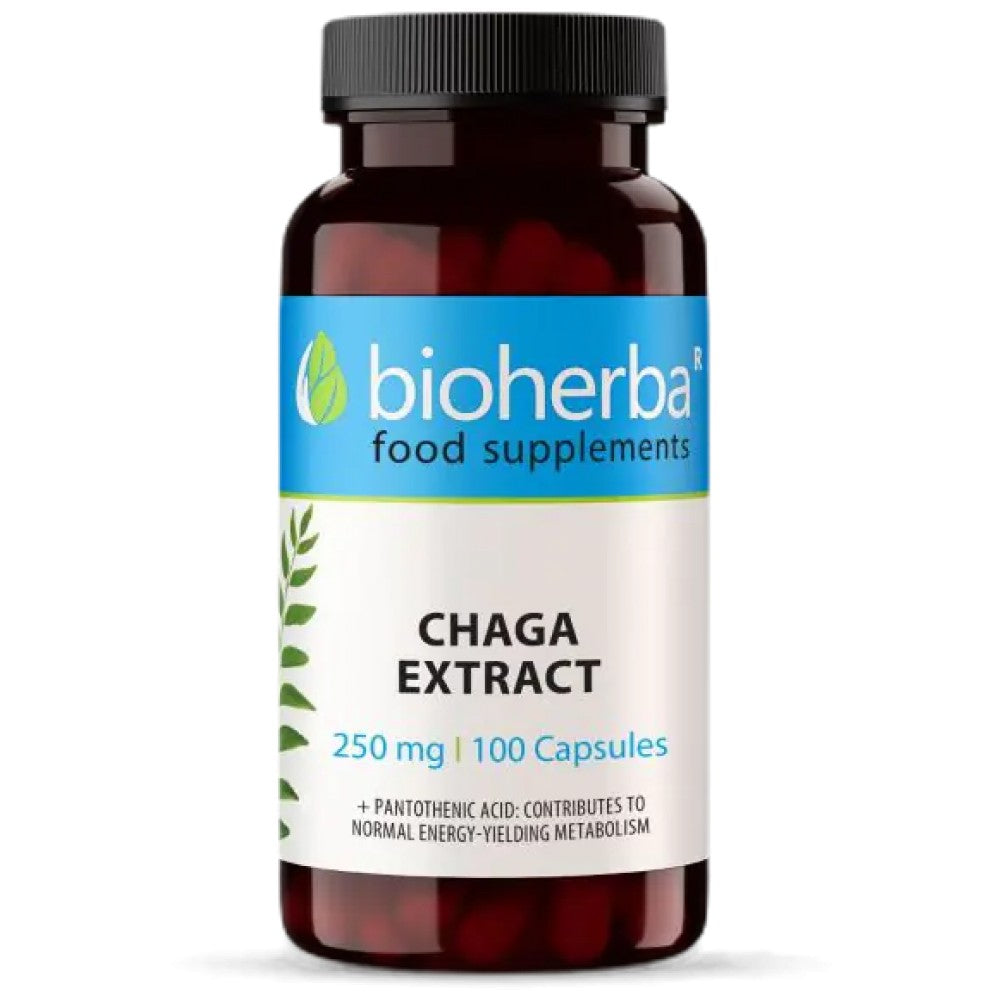 Bioherba Full Spectrum Chaga Mushroom - Гъба чага