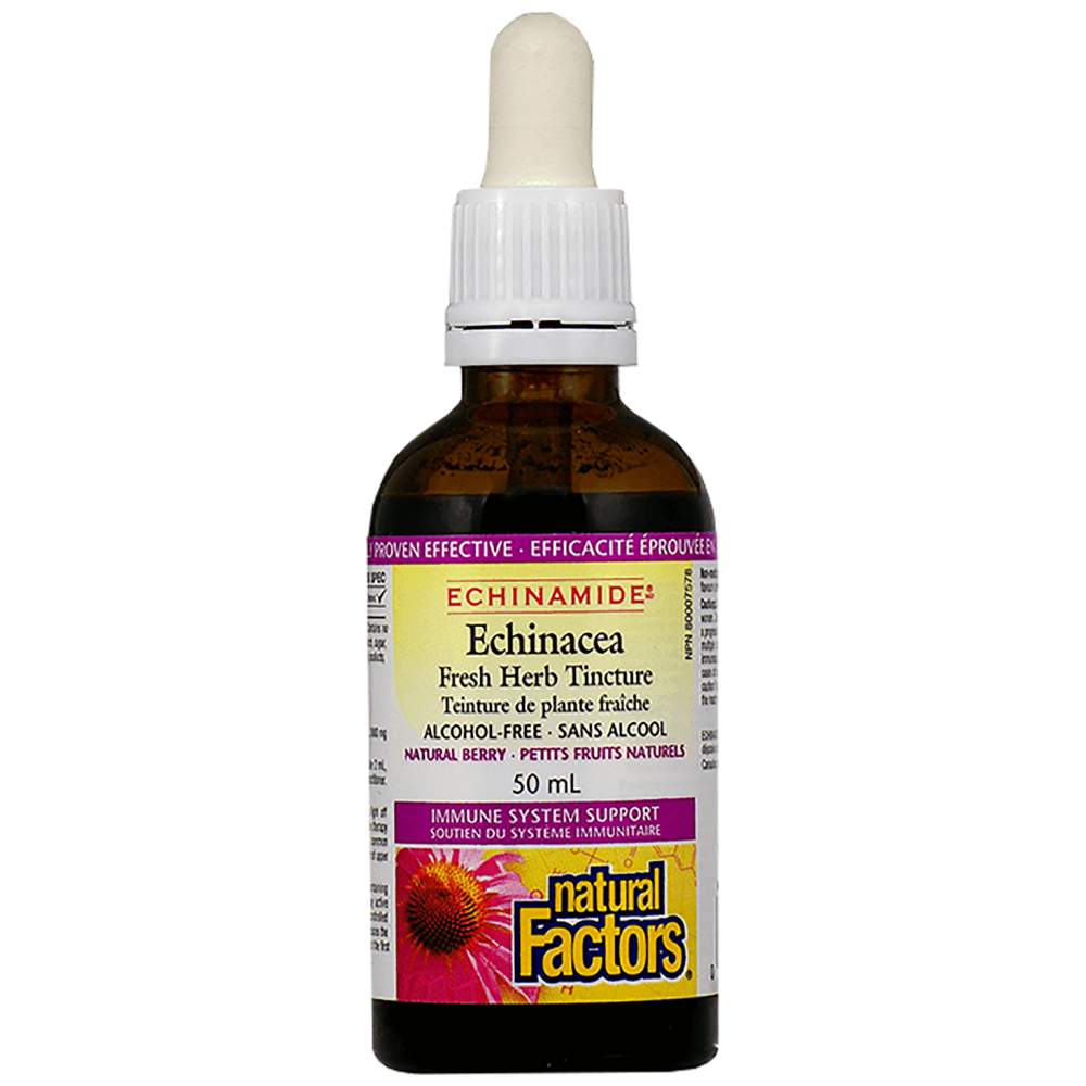 Natural Factors Echinacea Fresh Herb Tincture 1000 mg - Ехинацея тинктура 1000 mg